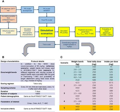 Dose Rationale for Amoxicillin in Neonatal Sepsis When Referral Is Not Possible